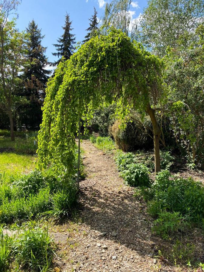 Hotel Garden Oleśnica المظهر الخارجي الصورة