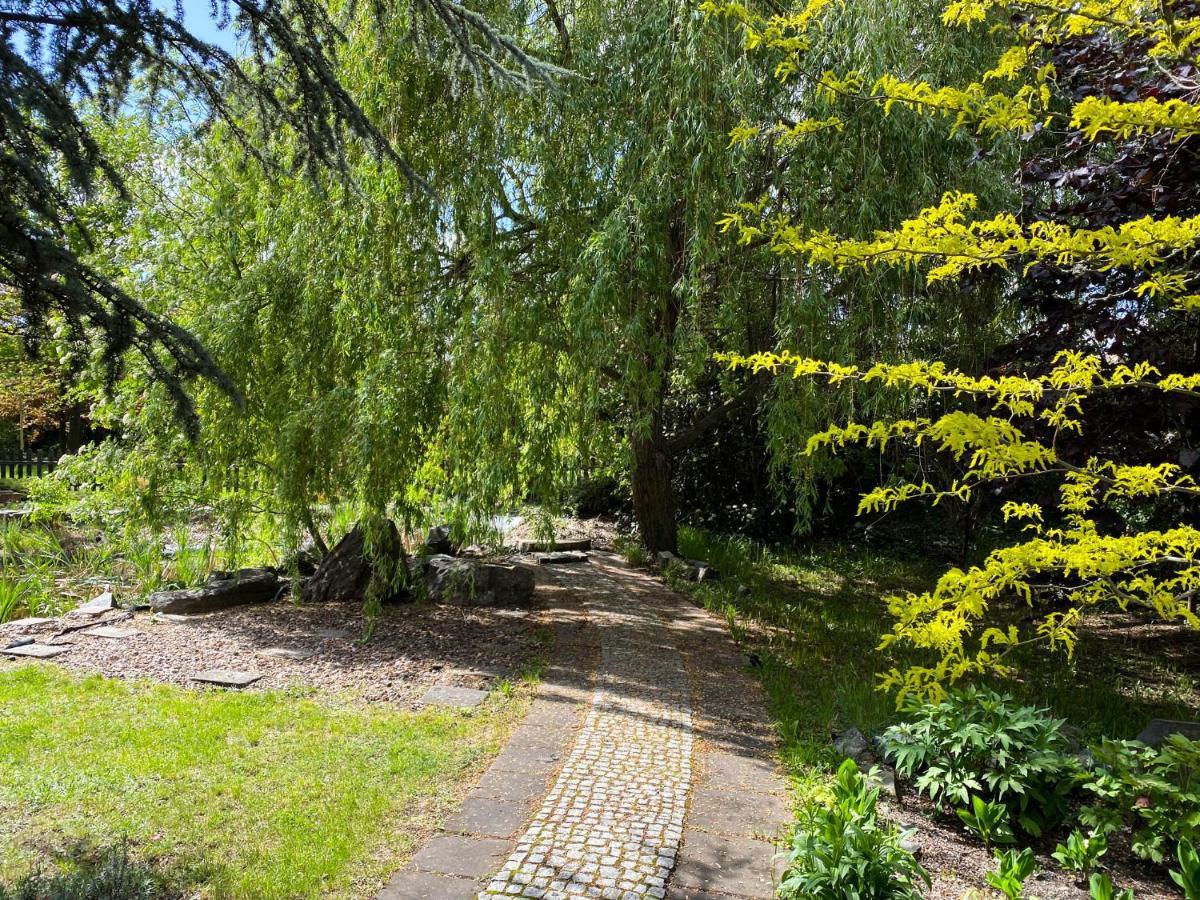 Hotel Garden Oleśnica المظهر الخارجي الصورة